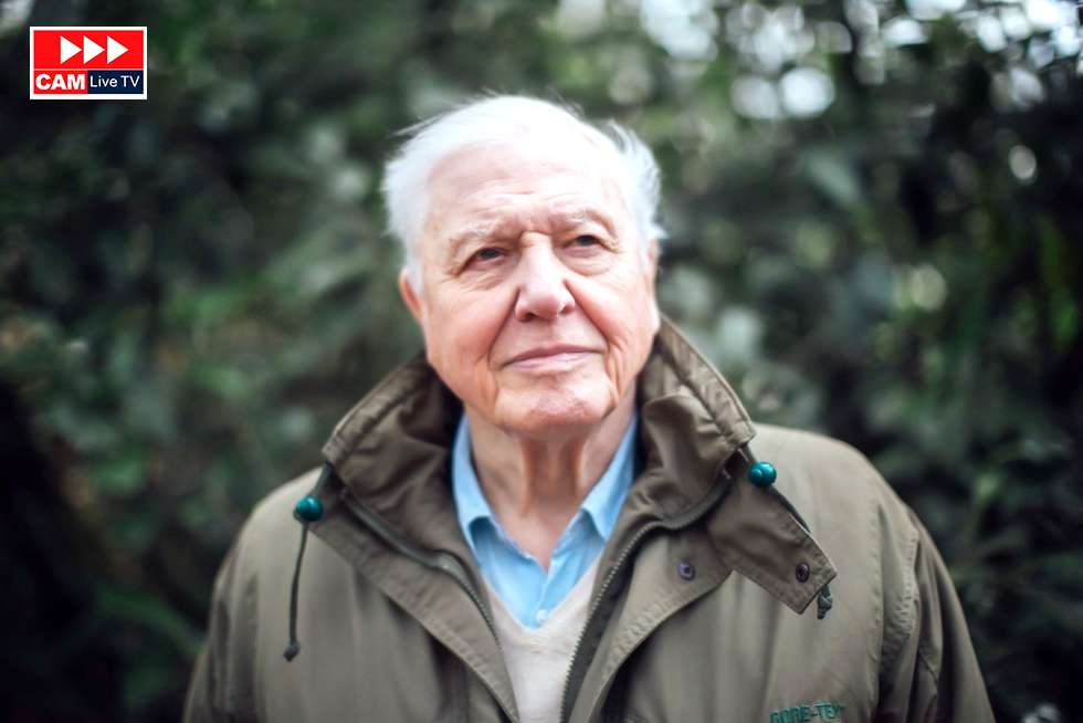 Sir David Attenborough named ‘Champion of the Earth’ by UN